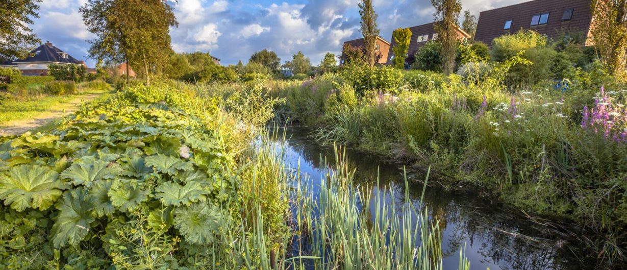natuurinclusieve gebiedsontwikkeling versterkt biodiversiteit