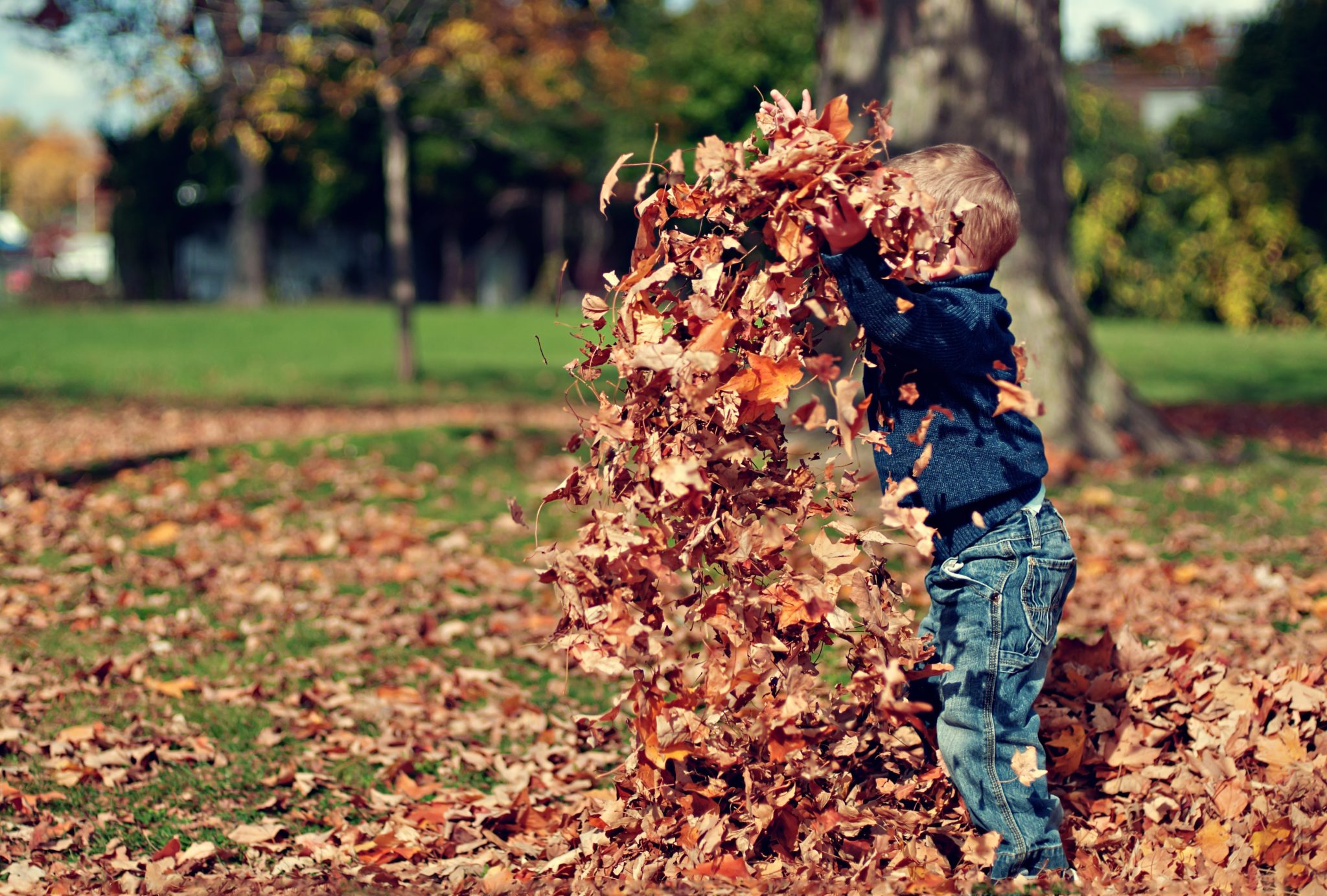 https://pixabay.com/nl/photos/jongen-spelen-bladeren-herfst-kind-1209964/