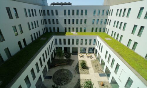 Groen dak en binnentuin van het Tergooi MC in Hilversum (foto: LooHorst)