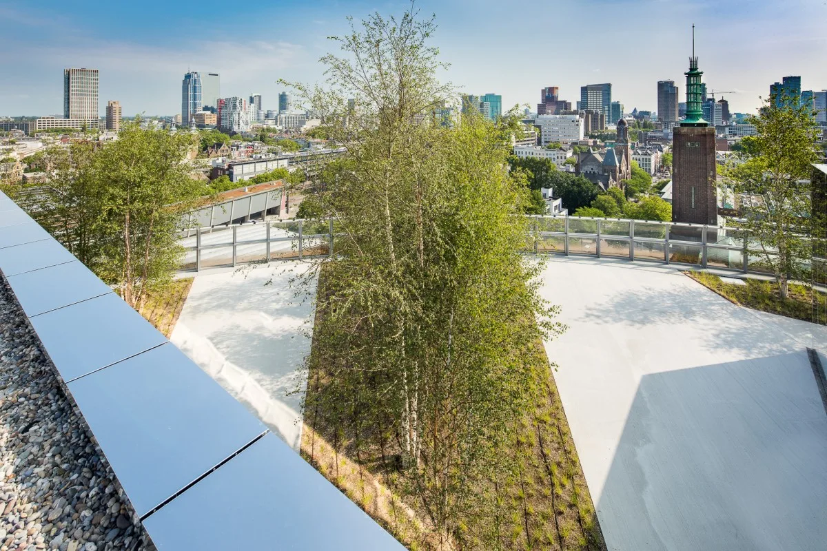 Vanaf het dak heb je een prachtig uitzicht op Rotterdam (foto: Norbert Waalboer / Van der Tol)