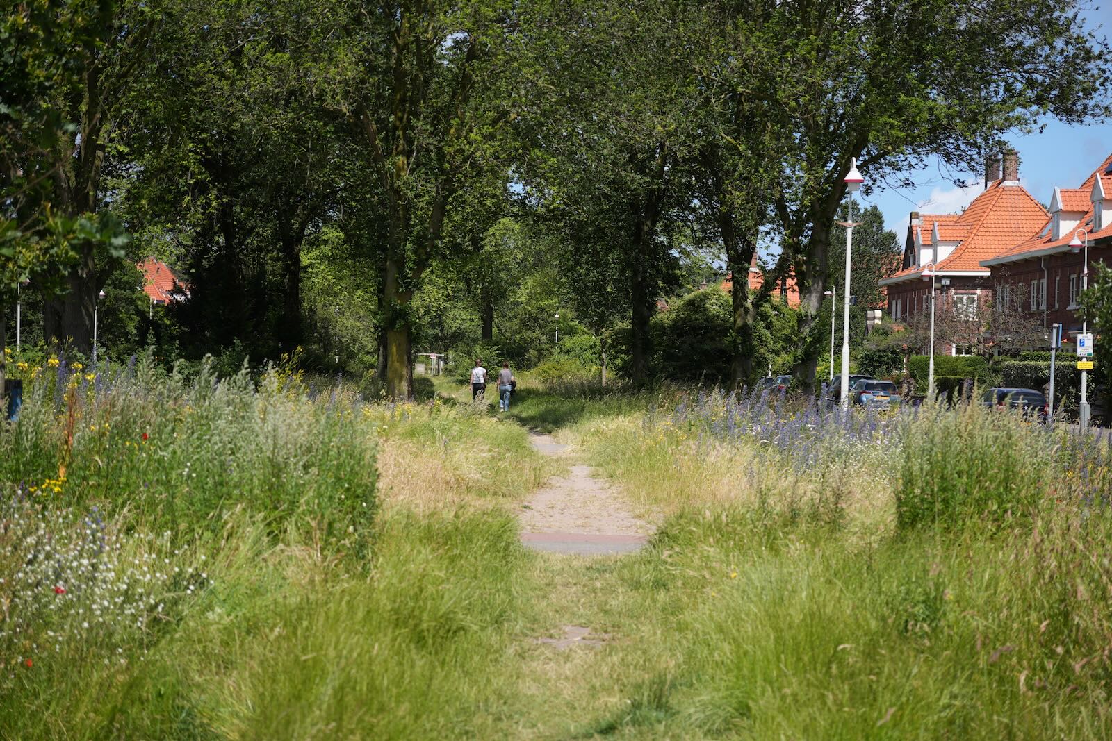 Urban Rewilding in Den Haag