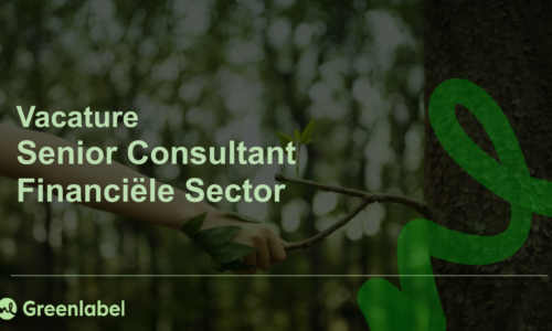 Senior Consultant Financiële Sector