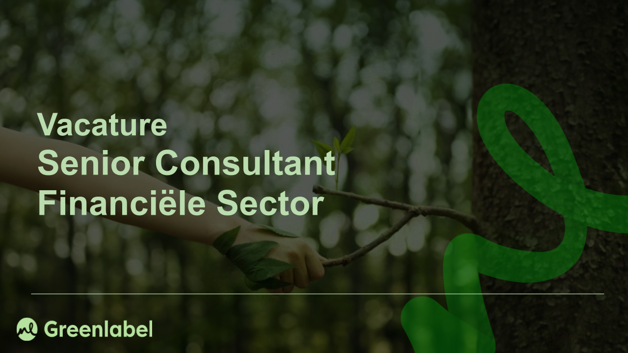 Senior Consultant Financiële Sector