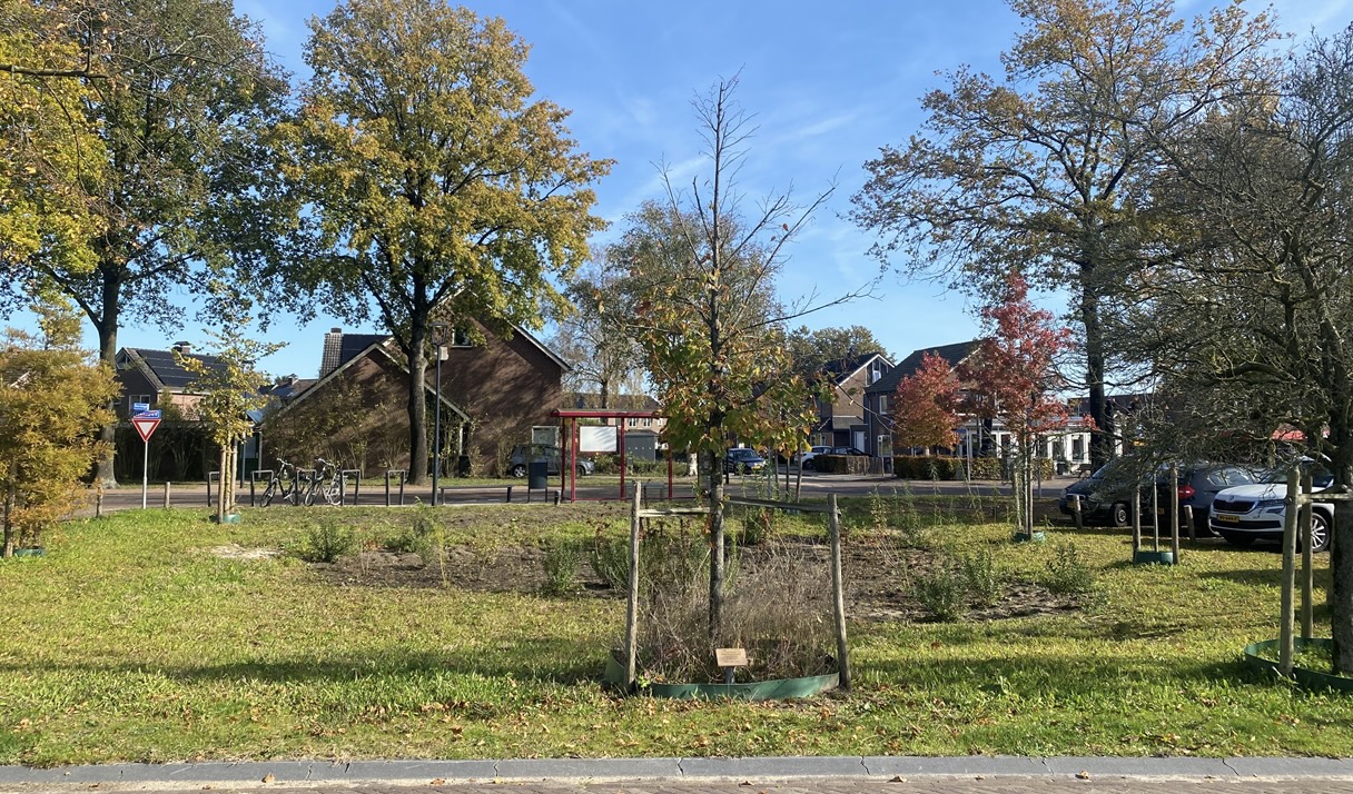 Wadi op het centrumplein