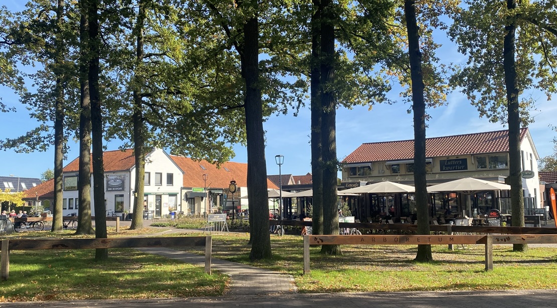 Weg naar het Arboretum in De Lutte