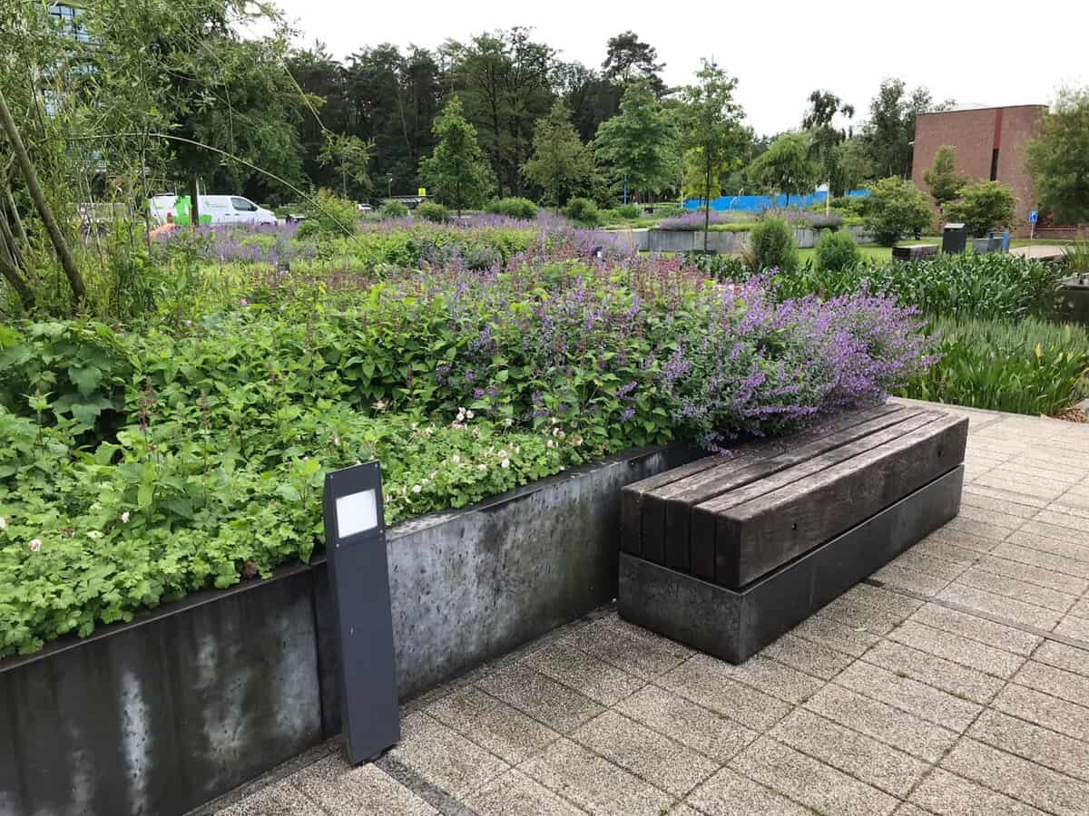 Groen in de buitenruimte van Utrecht Science Park zorgt voor een prettige leeromgeving