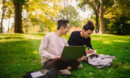 Studeren in het groen