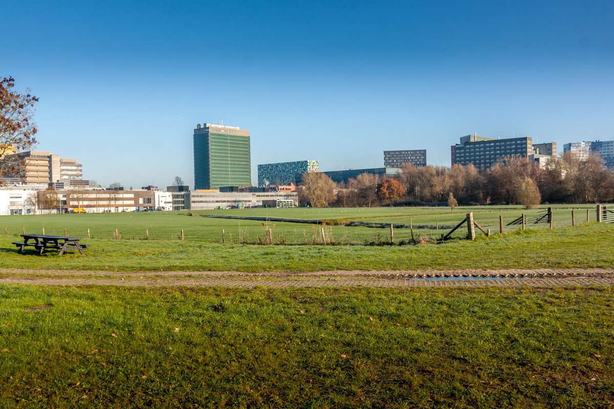 Uitzicht op de Uithof, de campus van de Universiteit Utrecht