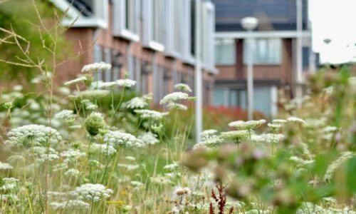 Toekomstbestendige buurten