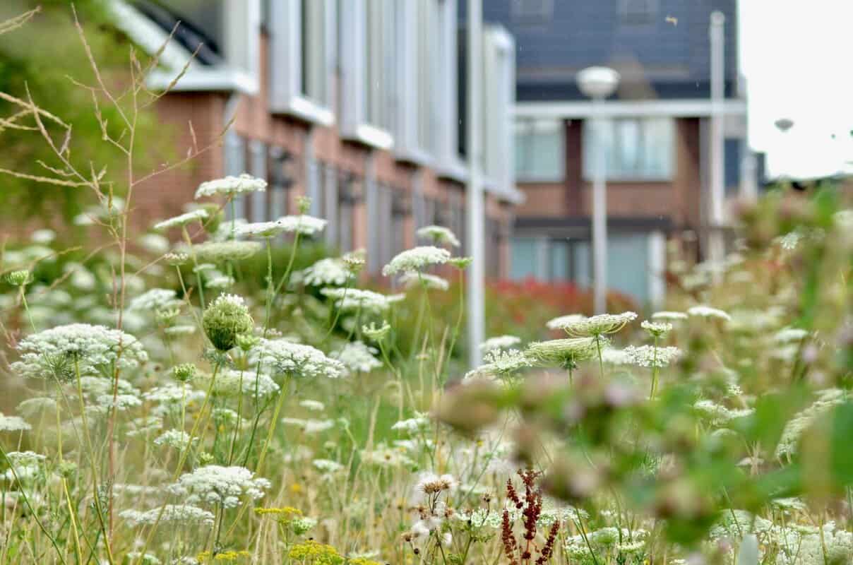 Toekomstbestendige buurten Toekomstbestendige buurten