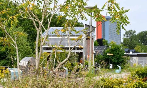 The Green Village © Mathilde Lawalata