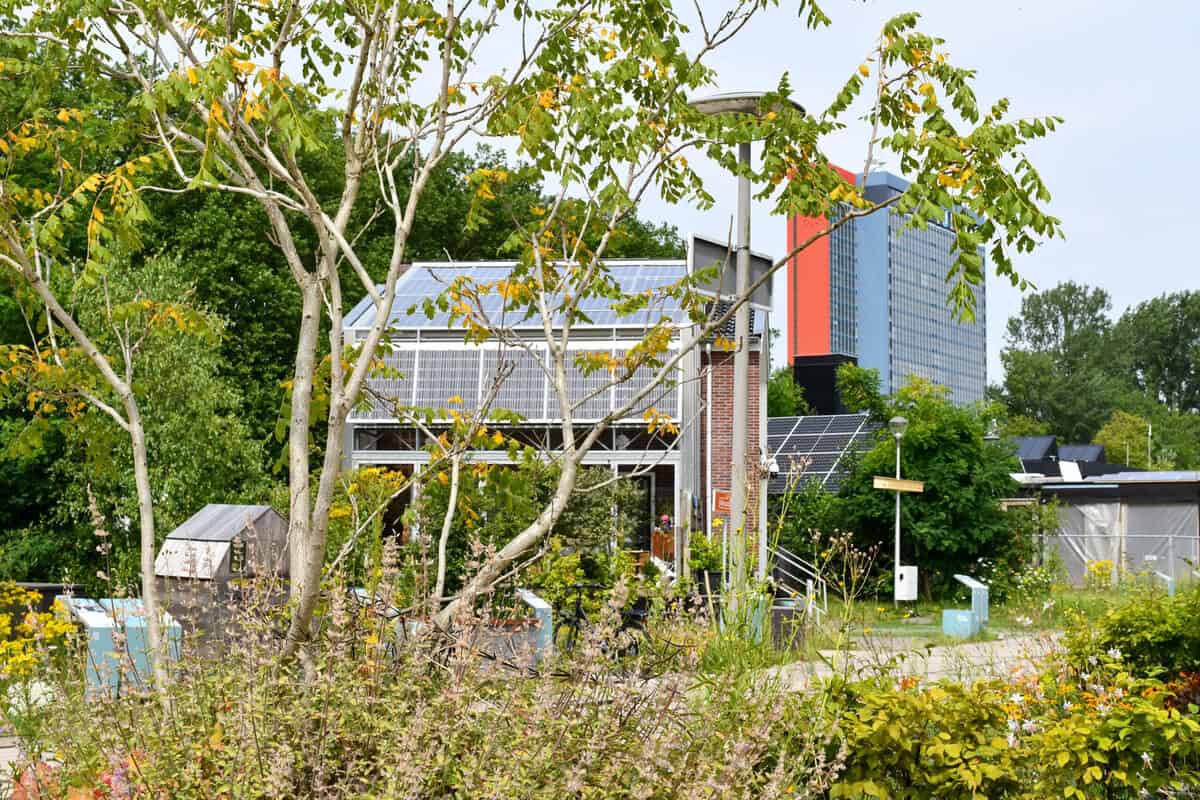 The Green Village © Mathilde Lawalata